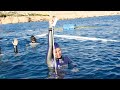 Alenka artnik 114m world record freediving in monofin