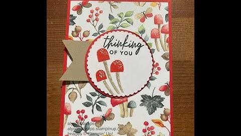 Fun Flap Fold Card Stamping Tutorial Technique Tuesday