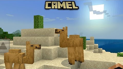Camel 🐪 Update In Minecraft Version 1.20