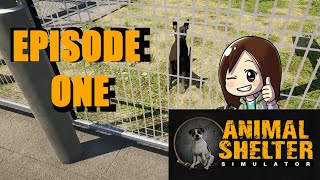 Animal Shelter Simulator Episode 1- My First Animal Shelter
The full game is finally out and now we finally get to save our four-legged friends! Animal Shelter Simulator grants you the opportunity to tackle the challenging but also highly rewarding task of running a refuge for strays and rescues. Lets get started on creating the Animal Shelter of my childhood dreams! If youd like to try the game out yourself, click on this link!
https://store.steampowered.com/app/1239320/Animal_Shelter/
Intro by Captain Chunky https://www.youtube.com/c/CaptainChunky
You like my face? Give this video a like!
~~~~~~~~~~~~~~~~~~~~~~~~~~~~~~~~~~~~~~~~~~~
How socially awkward am I? Find out for yourself! Here are my social page doodlers!
Website: http://www.randomobsessor.com
Twitter: http://www.twitter.com/randomobsessor
Twitch: http://www.twitch.tv/Randomobsessor
Instagram: http://www.instagram.com/Randomobsessor
Want to donate to help keep the channel going? Donate here! http://paypal.me/Randomobsessor
To contact Randomobsessor for business inquiries or for general chit chat, you can contact her at:
business@randomobsessor.com Animal Shelter Simulator Episode 1- My First Animal Shelter