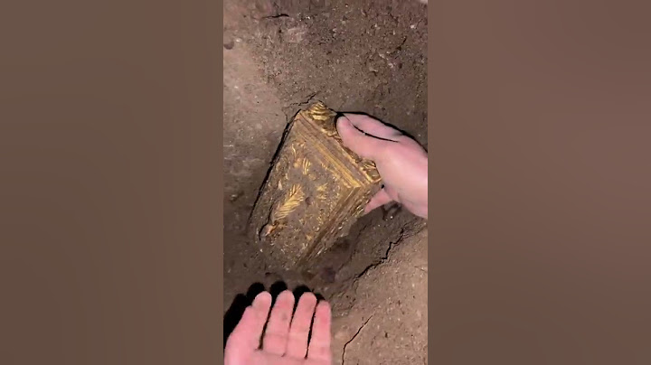 Great Treasure Hunt. / I Found The Treasure Box