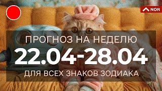 :     22.04  28.04.2024     /  