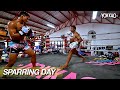 Pro boxing vs muay thai sparring  superlek vs sangarthitt  yokkao training center