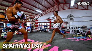 Pro Boxing Vs Muay Thai Sparring | Superlek Vs Sangarthitt | YOKKAO Training Center