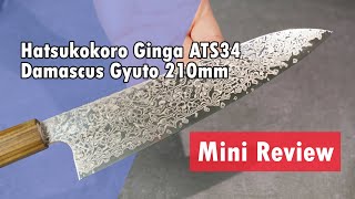 Hatsukokoro Ginga ATS34 Damascus Gyuto 210mm Mini Review