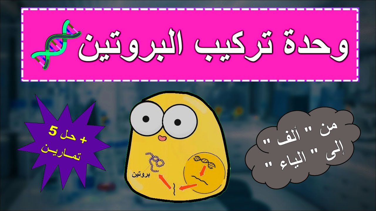 كل ما يتعلق بوحدة تركيب البروتين [ شعبة رياضيات + شعبة علوم تجريبية ] . من ألف إلى الياء .