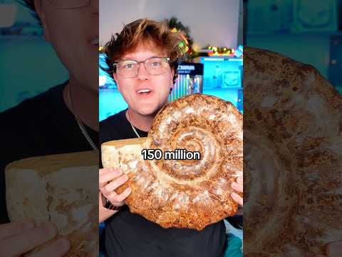 The RAREST Things I Just Bought