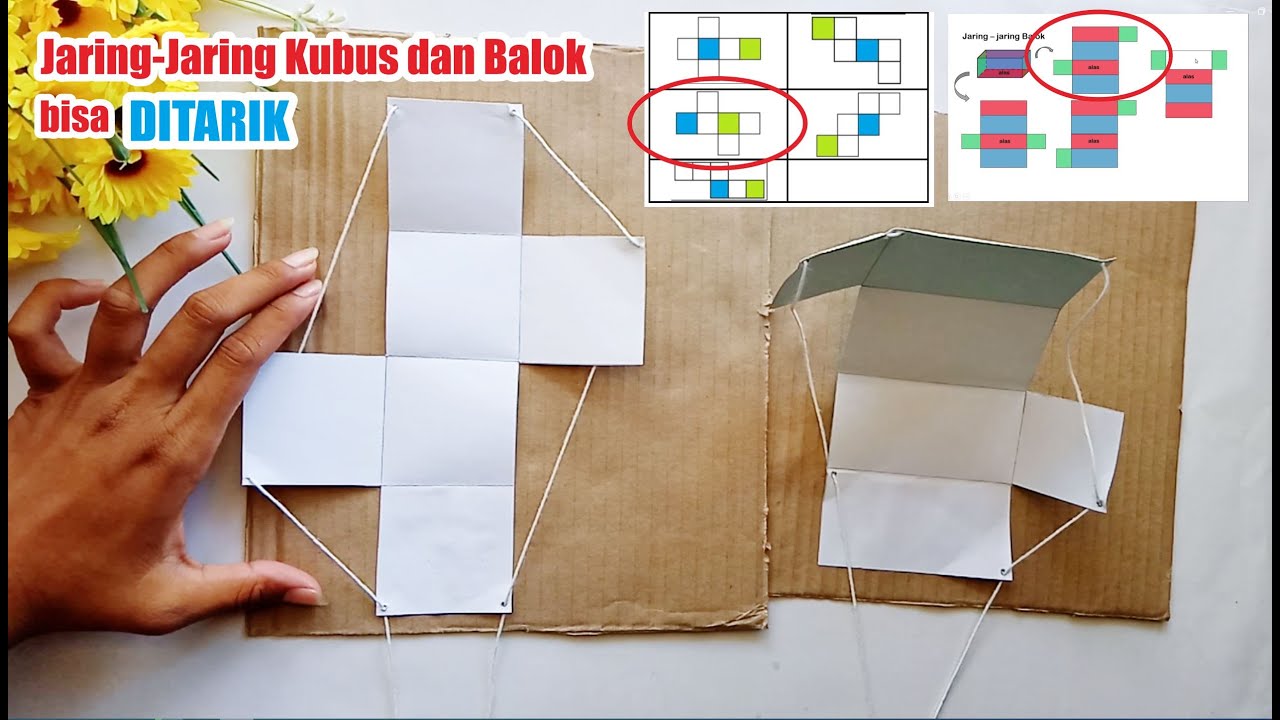 Cara Membuat Jaring Jaring Balok Dan Kubus Yang Bisa Ditarik Tutorial