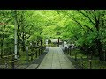 【4K】新緑の京都(2019年・GW)