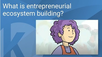 What is entrepreneurial ecosystem building?
