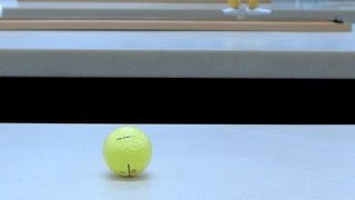 Uniform Acceleration: Vertical Bounce of a Ball -- xmdemo 112
