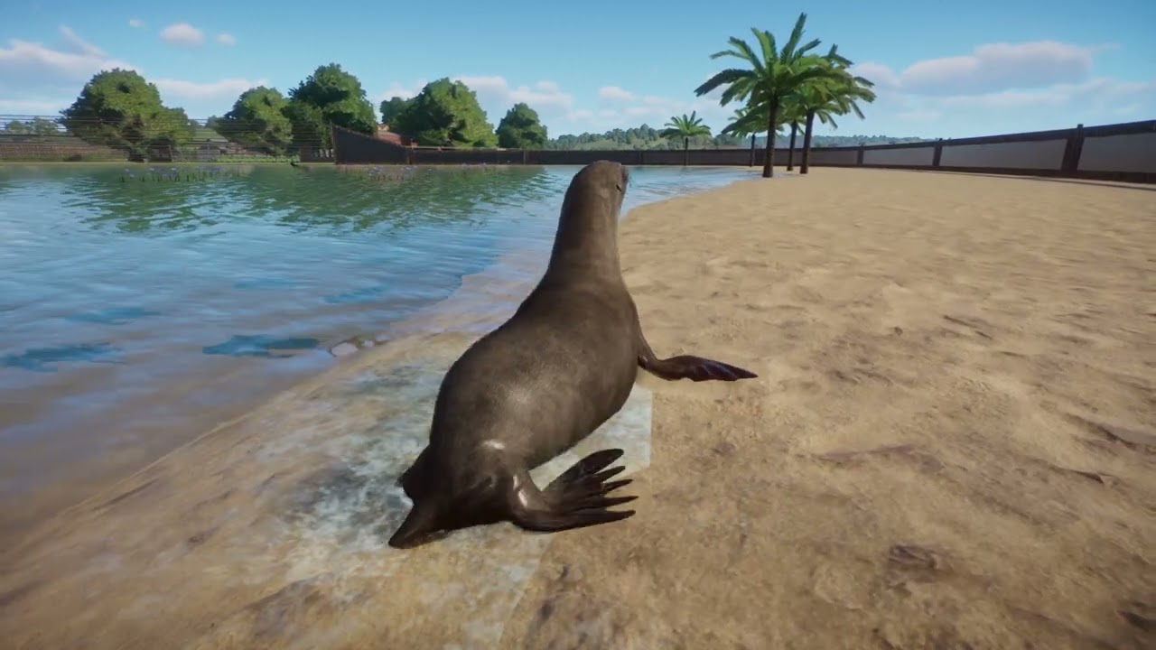 SEELÖWE