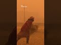 Qamishli sky orange in dust