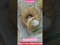 अब घर में आप साफ पाल सकते हैं ll Ball python ll python feeding on rat ll Bhari Pets ll भारी पेट्स ll