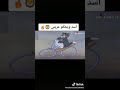 أسد وبحكم عريني علي طريقة توم وجيري