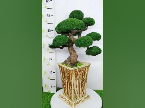 Фито бонсай из мха Челябинск - YouTube