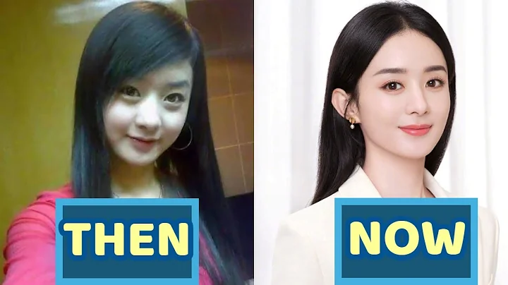 Zhao Liying (Zanilia Zhao) THEN and NOW 2021 | Why did her Marriage End in Divorce - DayDayNews