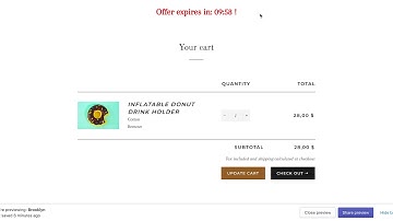 Shopify Cart Page Countdown Timer