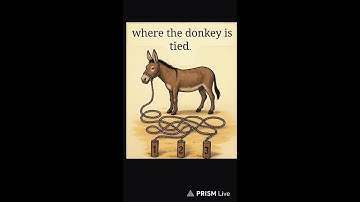 Only Genius Minds Can Solve This! 🔥 Live Maths Puzzle Game Challenge