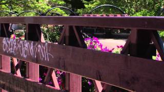 Learn where graffiti occurs and how you can help curb the tagging.