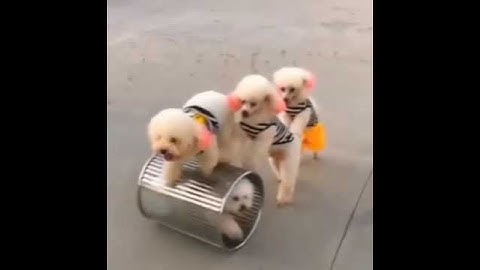 잘한다