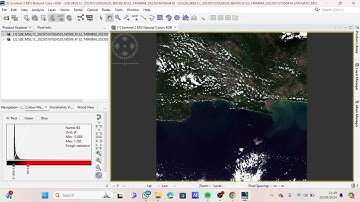 Video Tutorial Cara Membuat Peta Sebaran TSS dengan Menggunakan Software SNAP dan ArcGIS