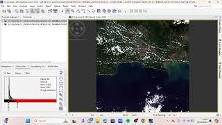 Video Tutorial Cara Membuat Peta Sebaran TSS dengan Menggunakan Software SNAP dan ArcGIS screenshot 4