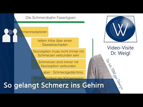 Schmerz und Schmerzweiterleitung: Nozizeptoren und Schmerzfasern // Schmerzen verstehen