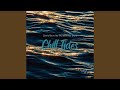 Slow Currents Under Moonlight