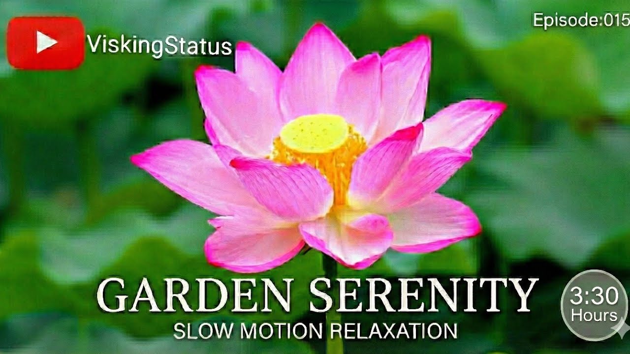 Watch Feeling burnout creeping in? Stop scrolling and start healing. Episode 015 of the Relax series. on YouTube Watch Feeling burnout creeping in? Stop scrolling and start healing. Episode 015 of the Relax series. on YouTube