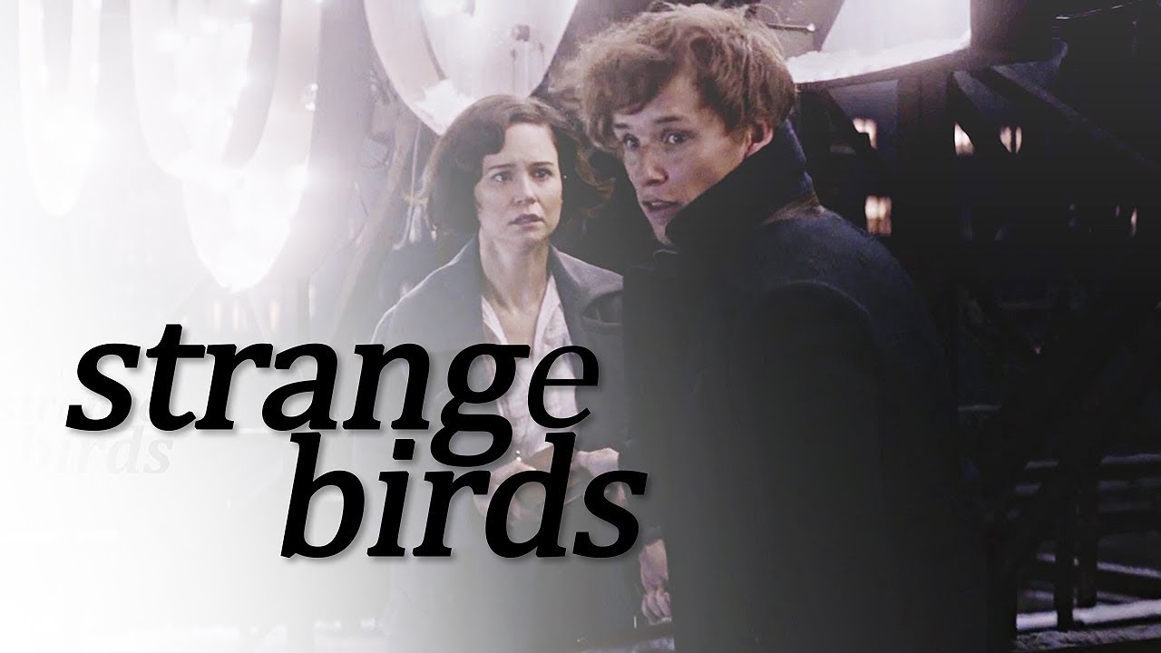 Birdy strange birds. Strange Birds Birdy минус. Birdy Strange Birds Ноты.