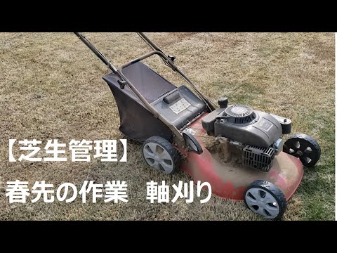 芝生管理 春の軸刈り ミリ 自走式エンジン芝刈り機 芝刈り後の処理方法 Youtube