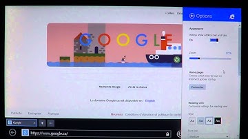 Windows 8.1 how to had fixed zoom size to Internet Explorer 11