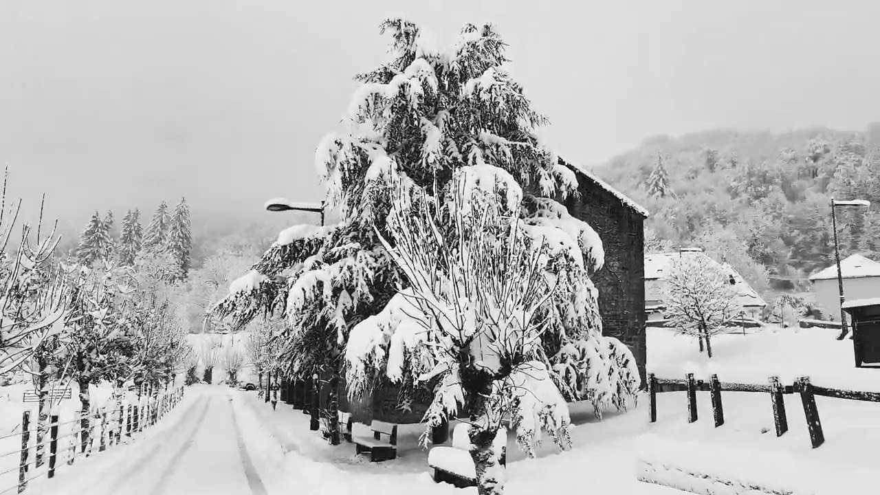 GRAN NEVADA EN RONCESVALLES. 21/1/25 