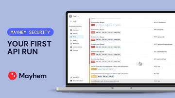 Your First API Run - Mayhem Security