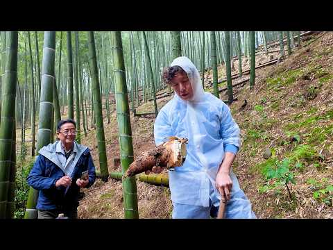 最高級の筍(たけのこ)「合馬の筍」を掘りに福岡県へ行ってきました
