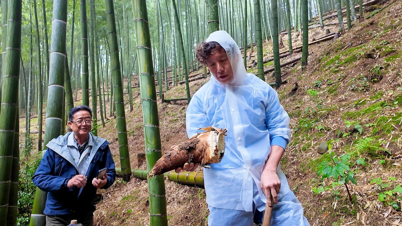 最高級の筍(たけのこ)「合馬の筍」を掘りに福岡県へ行ってきました【料理人の産地訪問動画 vol.4】