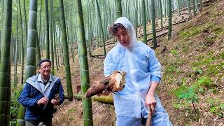 最高級の筍(たけのこ)「合馬の筍」を掘りに福岡県へ行ってきました【料理人の産地訪問動画 vol.4】