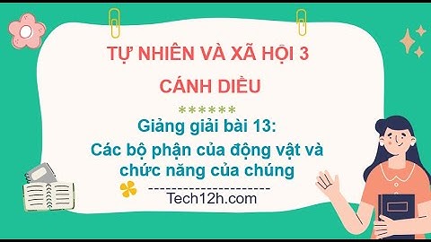 Giảng bài 13: Các bộ phận của động vật và chức năng của chúng | Bài giảng TN&XH 3 cánh diều