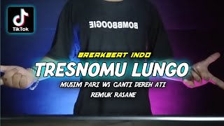 BREAKBEAT • TRESNOMU LUNGO • Farel Prayoga ( Pikachu Remix )