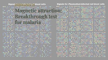 Magnetic attraction: Breakthrough test for malaria