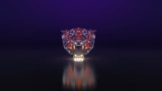 VIVUM XX The Grand Finale