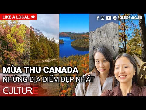 Video: Mùa Thu đào đất