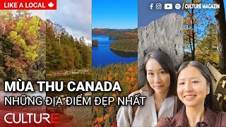 Mùa Thu Canada Đẹp Đến Mức Nào? Top Các Địa Điểm Lá Vàng Tuyệt Đẹp Ở GTA | Culture Channel