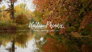 Mellow Phoenix - #MellowIntellectual - Classical Vibez