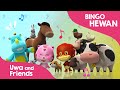 Lagu Anak Indonesia Belajar Suara Hewan Ternak - Bingo