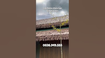 Lợp lá nhựa lên trên mái tôn?!? Rơm nhân tạo lợp mái #vatlieunhantao #romnhantao #thicongtamop