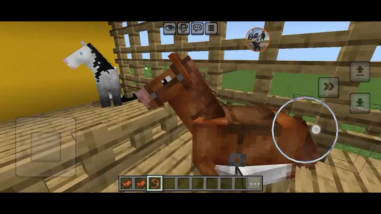 primeira vaquejada do canal