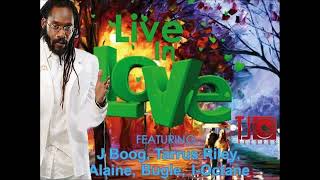 Live in Love Riddim Mix - Rubb a Dube Sound