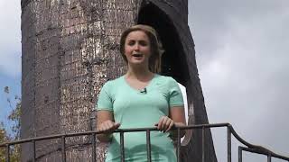 Celebrity Where Kaylee Wendt: Griffis Sculpture Park Net Worth